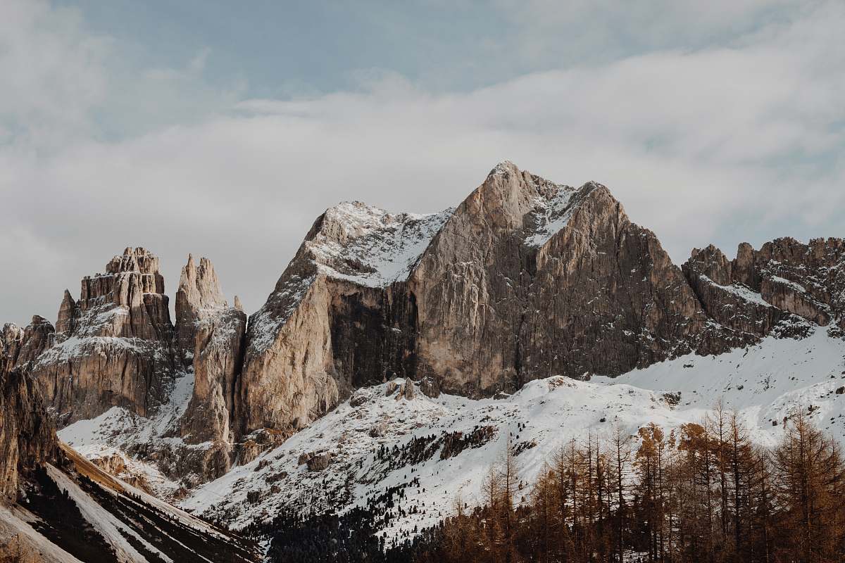 mountain rocky mountains near pine trees nature